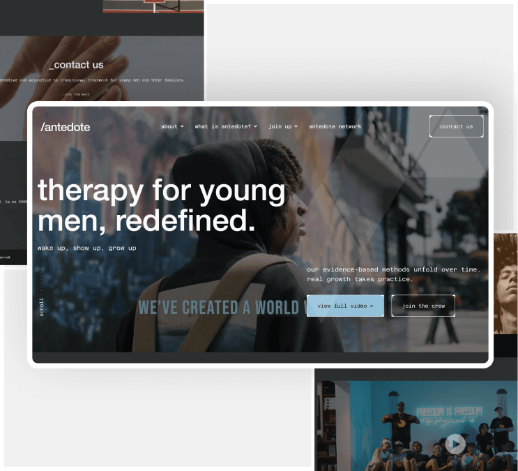 Antedote Lab